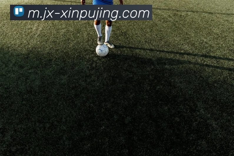 新葡京娱乐服务体系